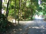 CIMG3110.JPG