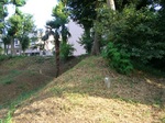 CIMG3122.JPG