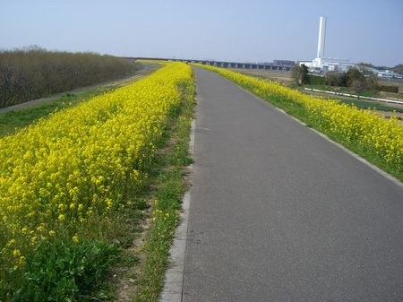 CIMG5827.JPG