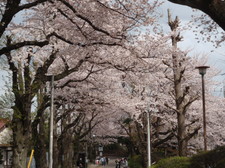P4100001.JPG