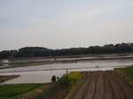 P4300006.JPG